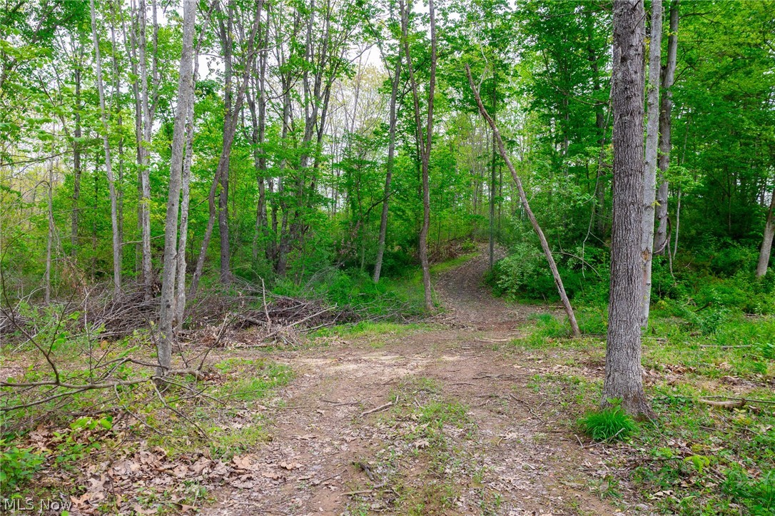 37795 Sheep Skin Ridge Lower Salem OH 45745