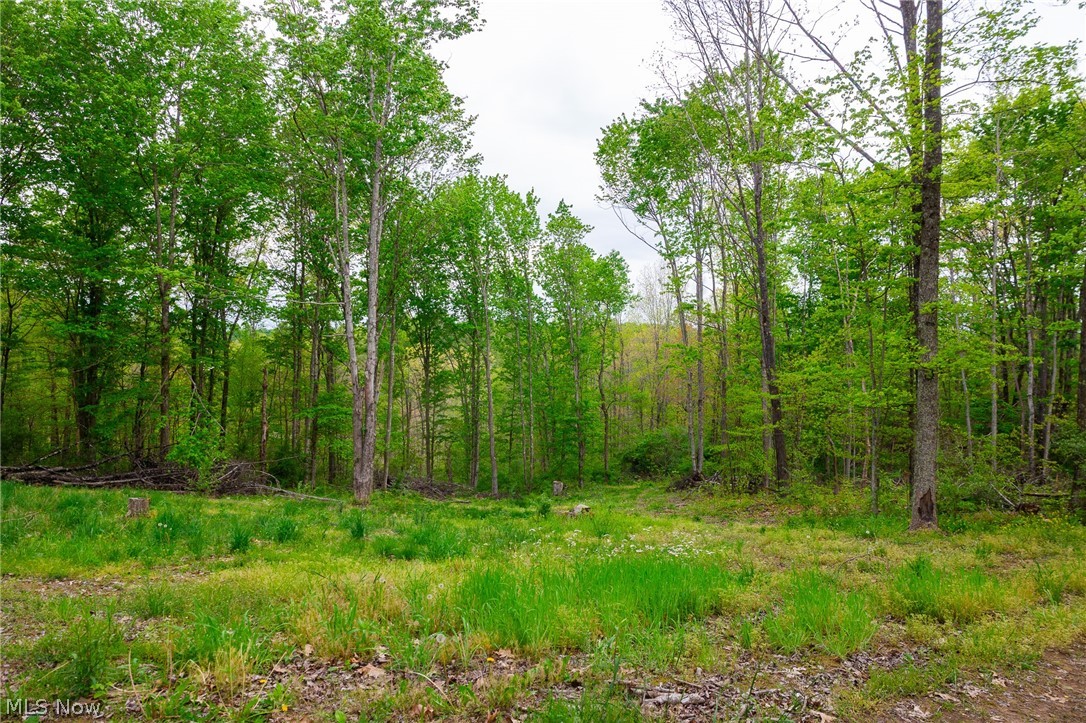 37795 Sheep Skin Ridge Lower Salem OH 45745