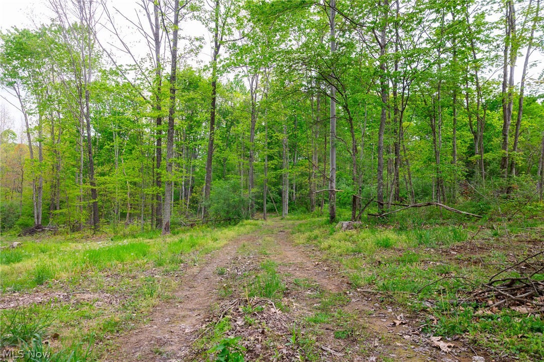 37795 Sheep Skin Ridge Lower Salem OH 45745