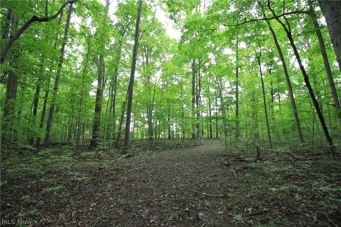 660 County Road 175 West Salem OH 44287