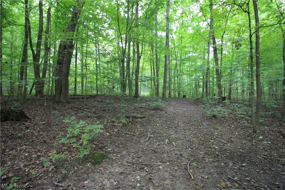 660 County Road 175 West Salem OH 44287