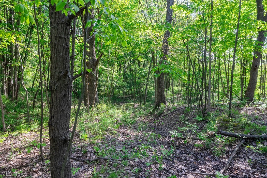 11154 Shetler Avenue SW Bolivar OH 44612