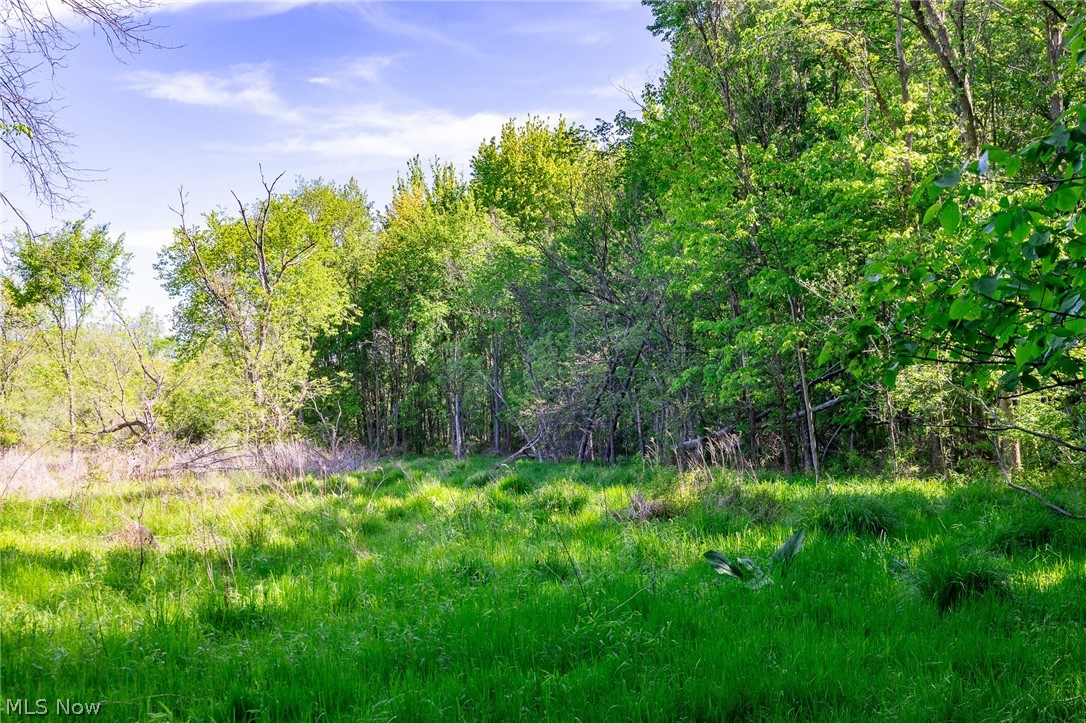 11154 Shetler Avenue SW Bolivar OH 44612