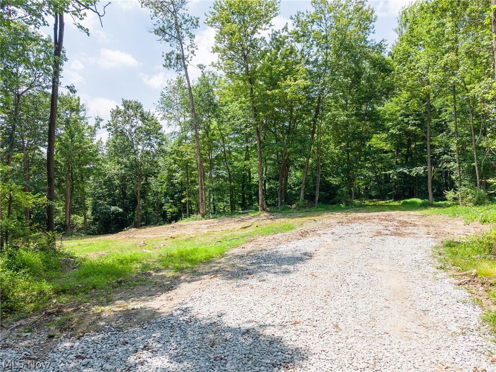 31800 Chestnut Ridge Road Danville OH 43050