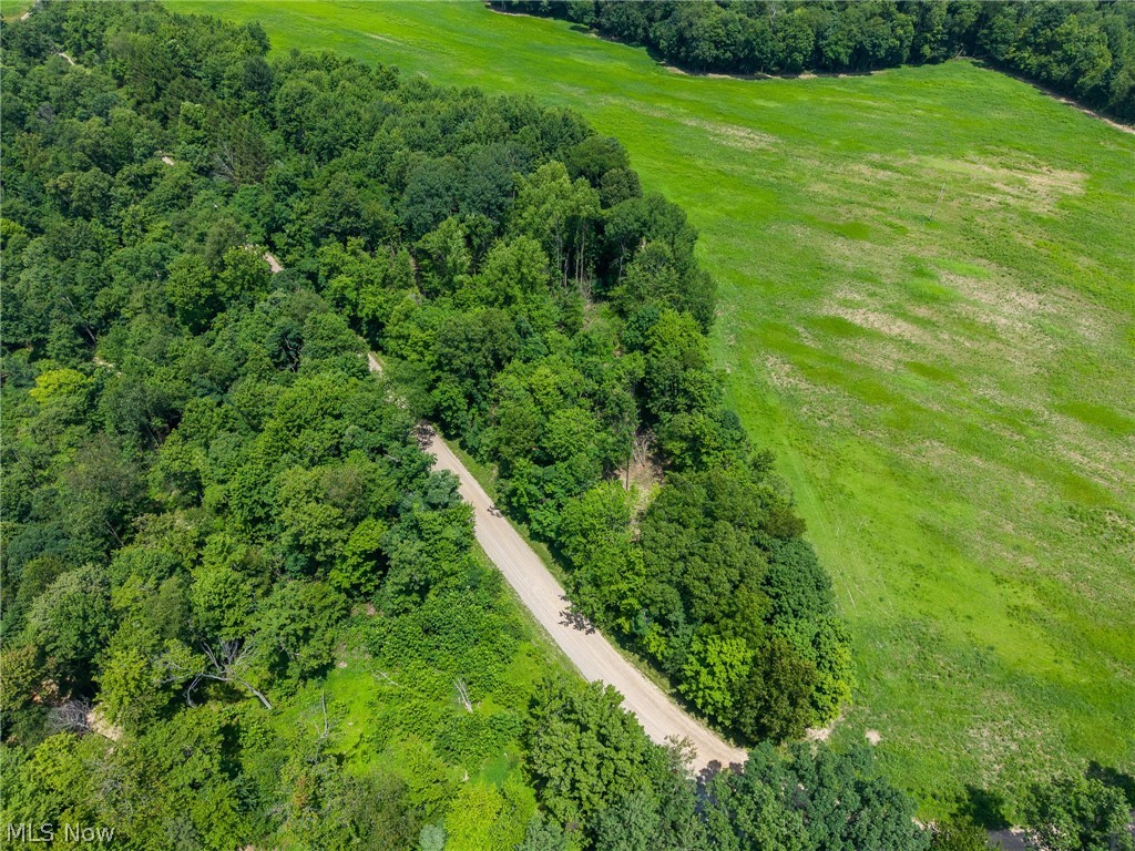 31800 Chestnut Ridge Road Danville OH 43050
