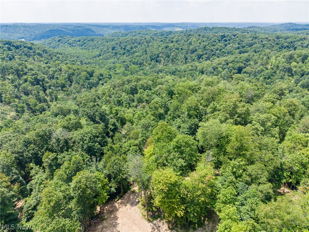 31800 Chestnut Ridge Road Danville OH 43050