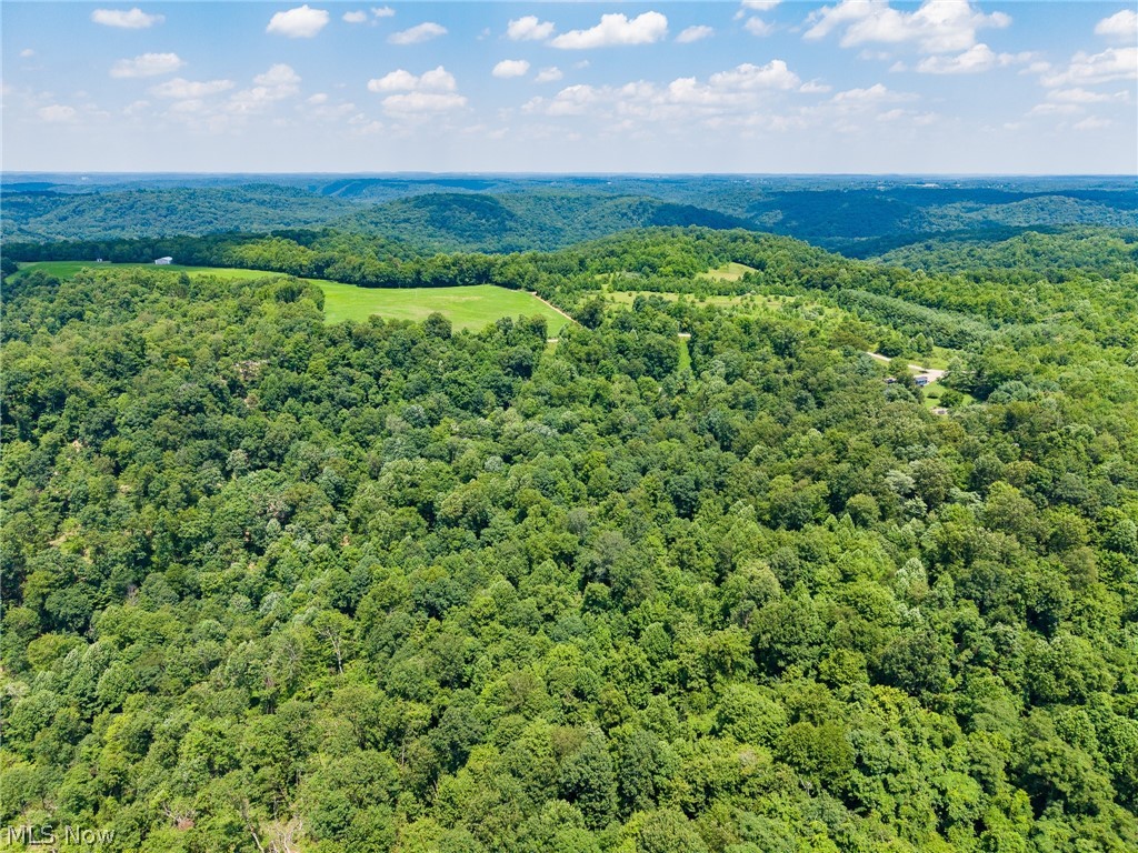 31800 Chestnut Ridge Road Danville OH 43050