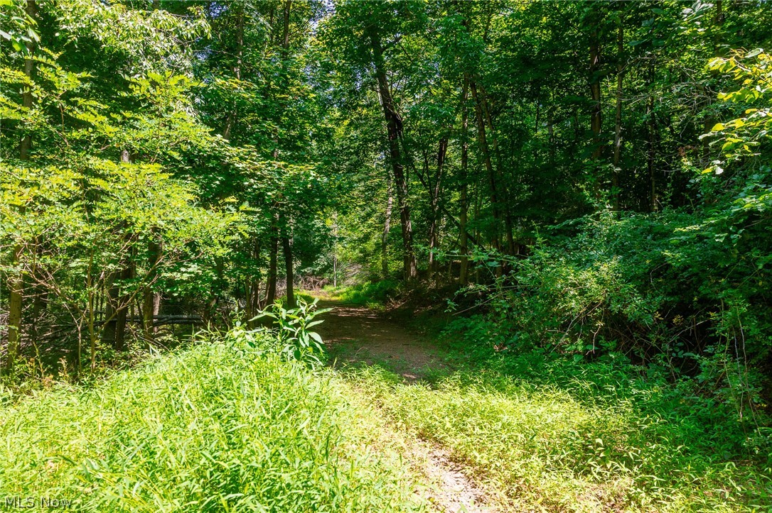 31800 Chestnut Ridge Road Danville OH 43050