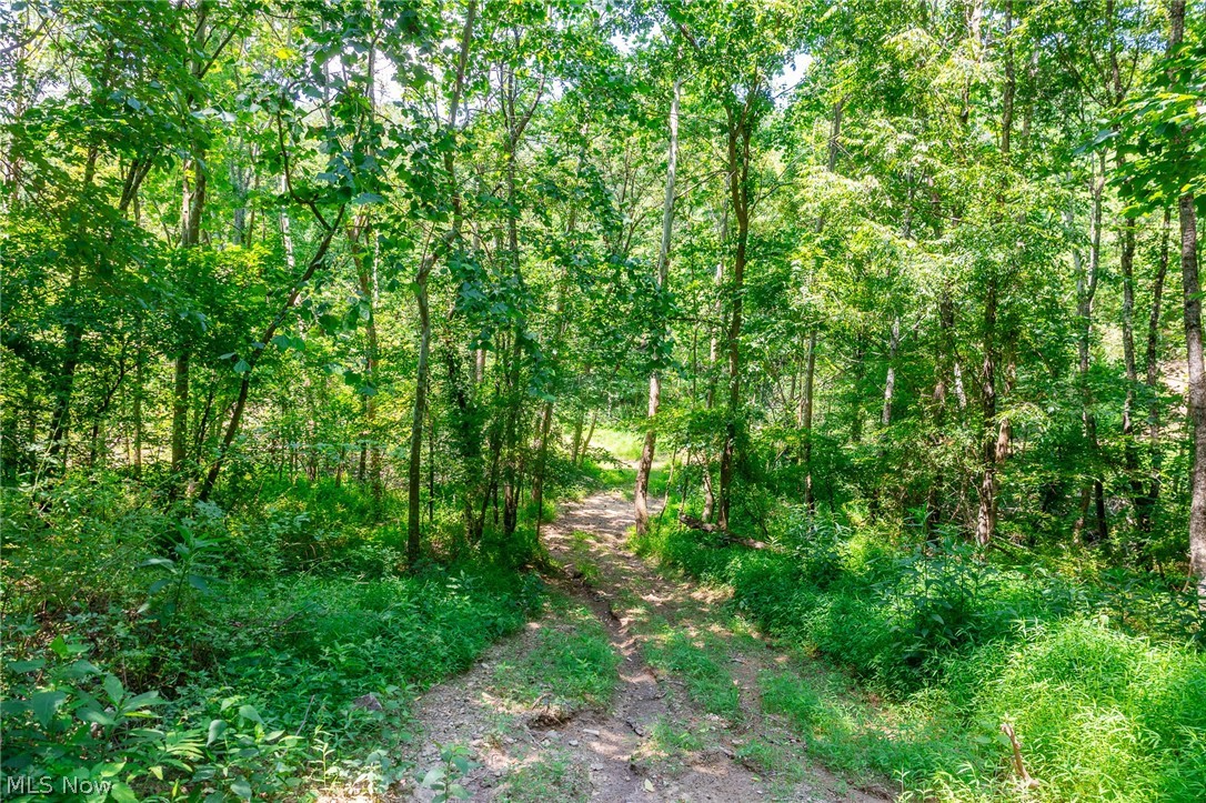 31800 Chestnut Ridge Road Danville OH 43050