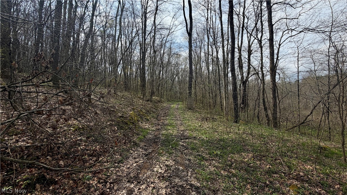 9100 Post Road Jewett OH 43945