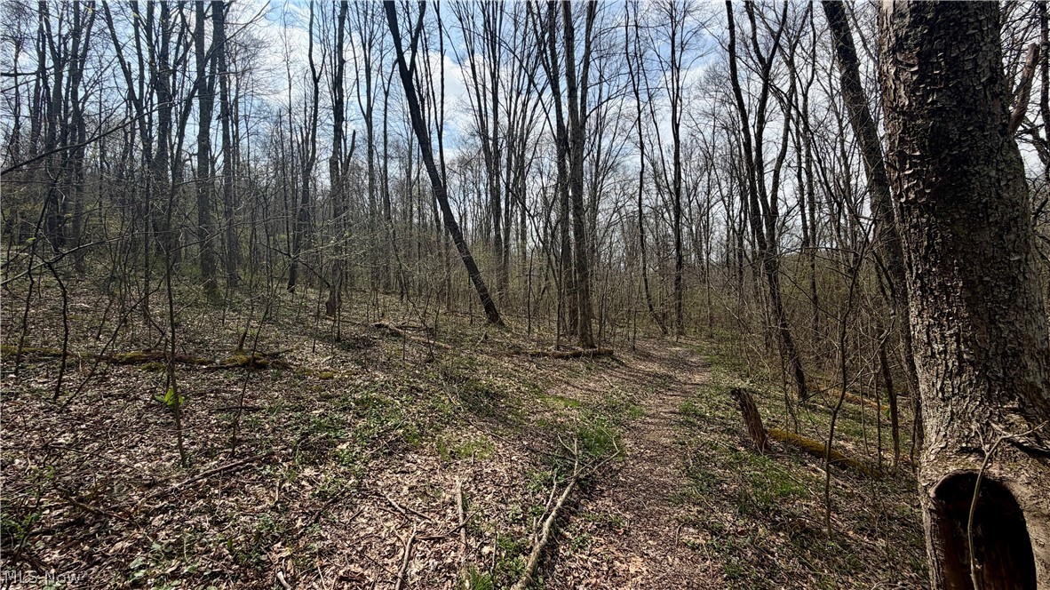 9100 Post Road Jewett OH 43945
