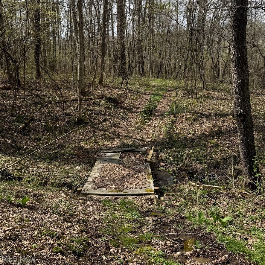 9100 Post Road Jewett OH 43945