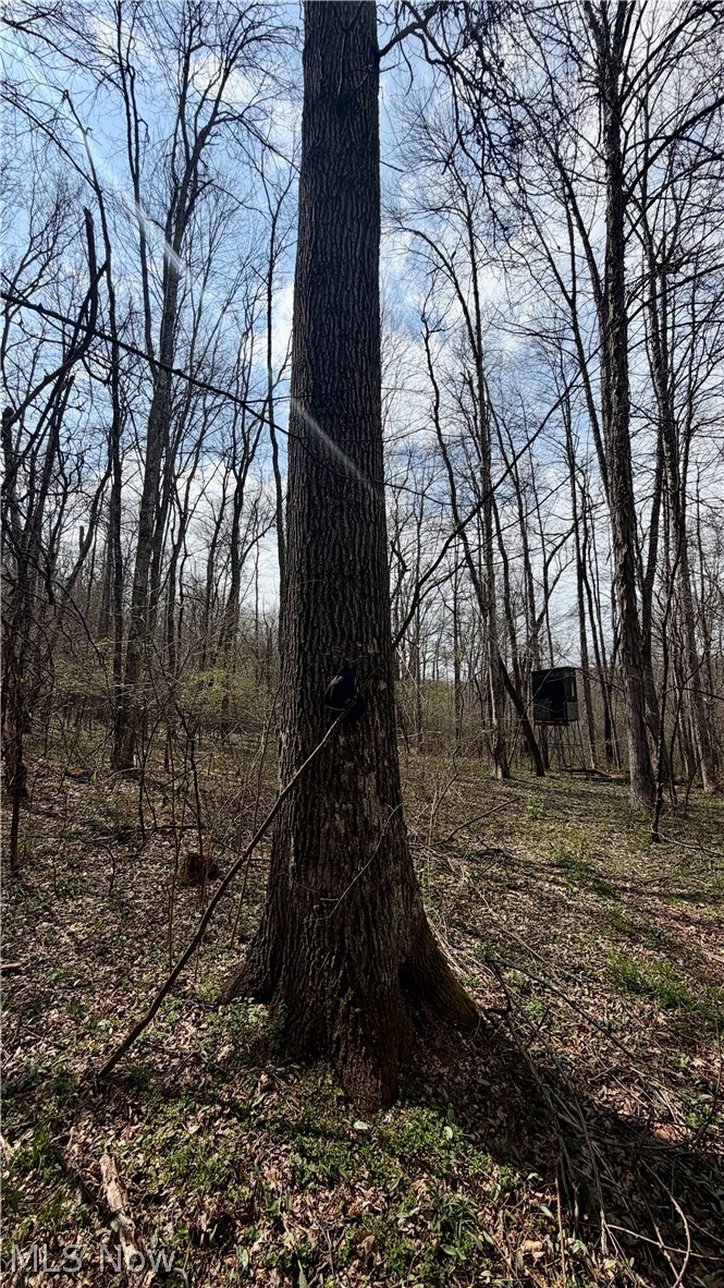 9100 Post Road Jewett OH 43945