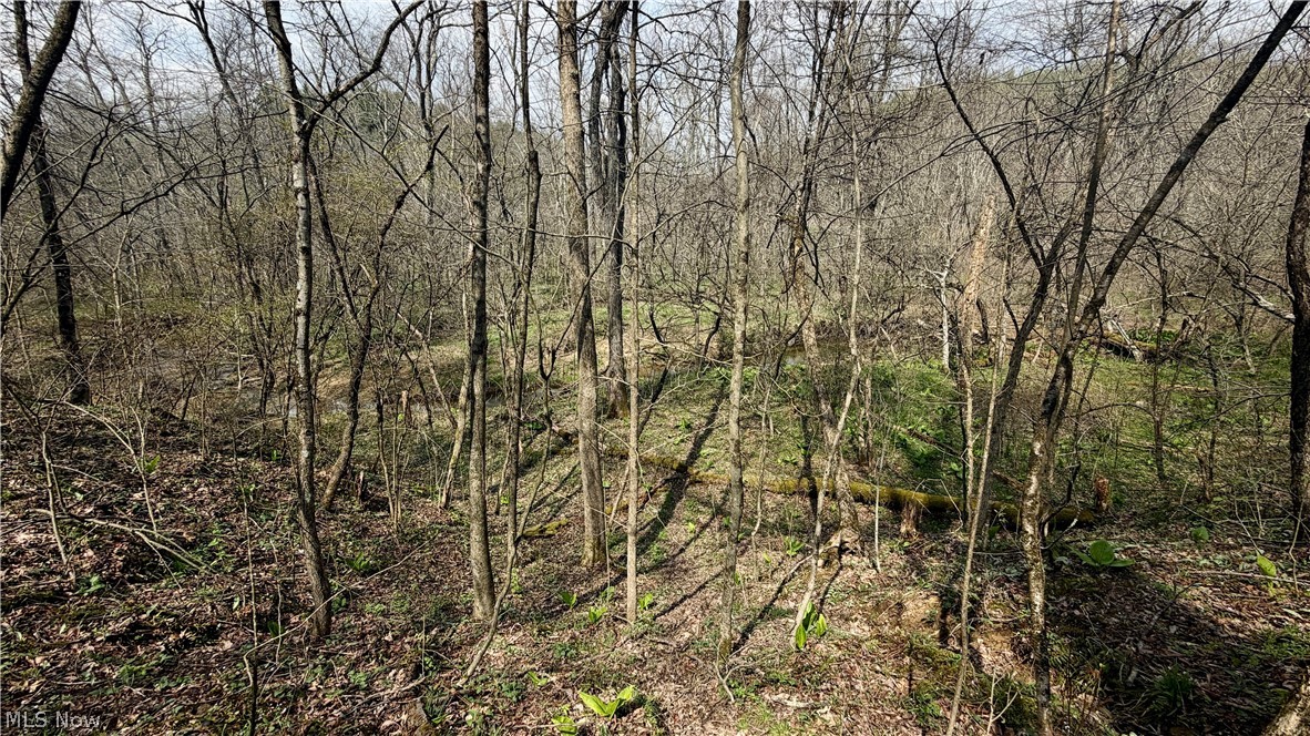 9100 Post Road Jewett OH 43945