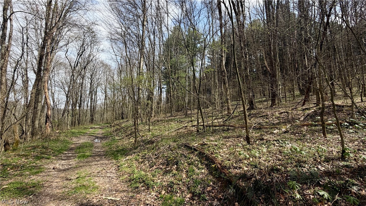 9100 Post Road Jewett OH 43945