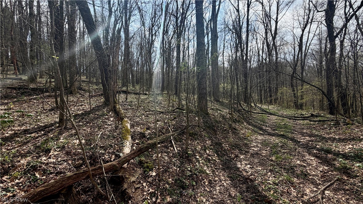 9100 Post Road Jewett OH 43945