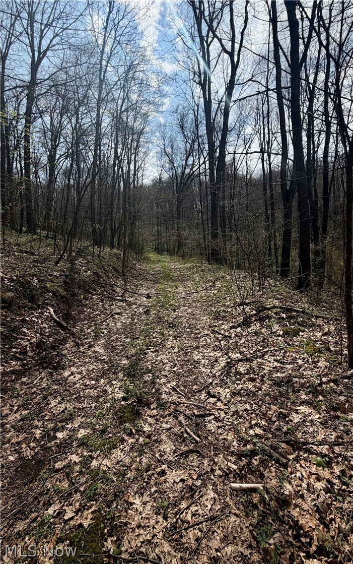 9100 Post Road Jewett OH 43945