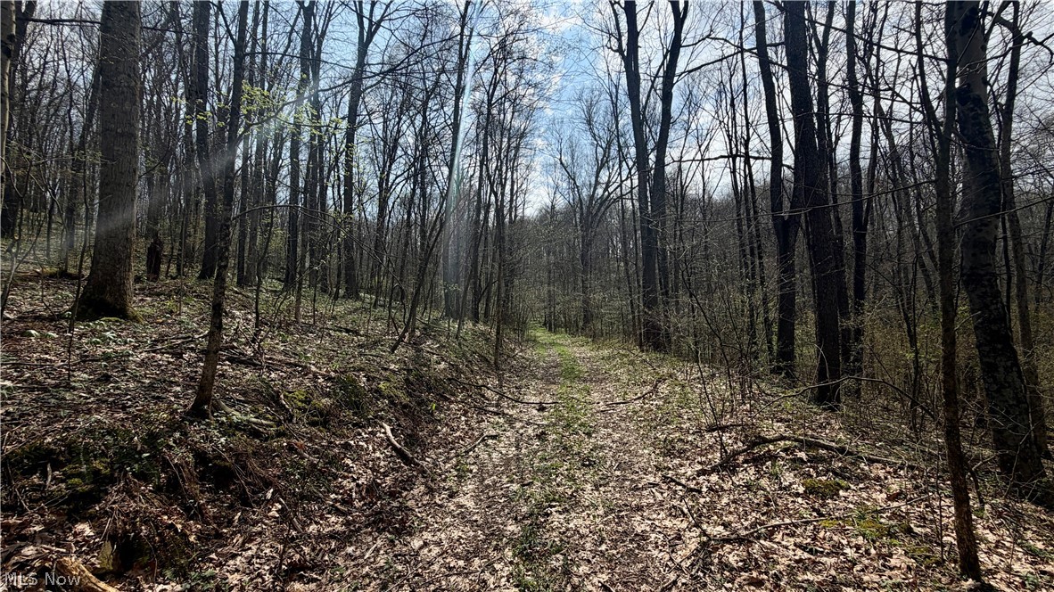 9100 Post Road Jewett OH 43945