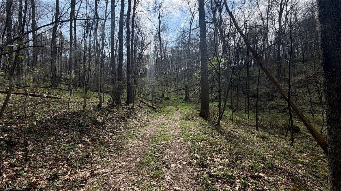 9100 Post Road Jewett OH 43945