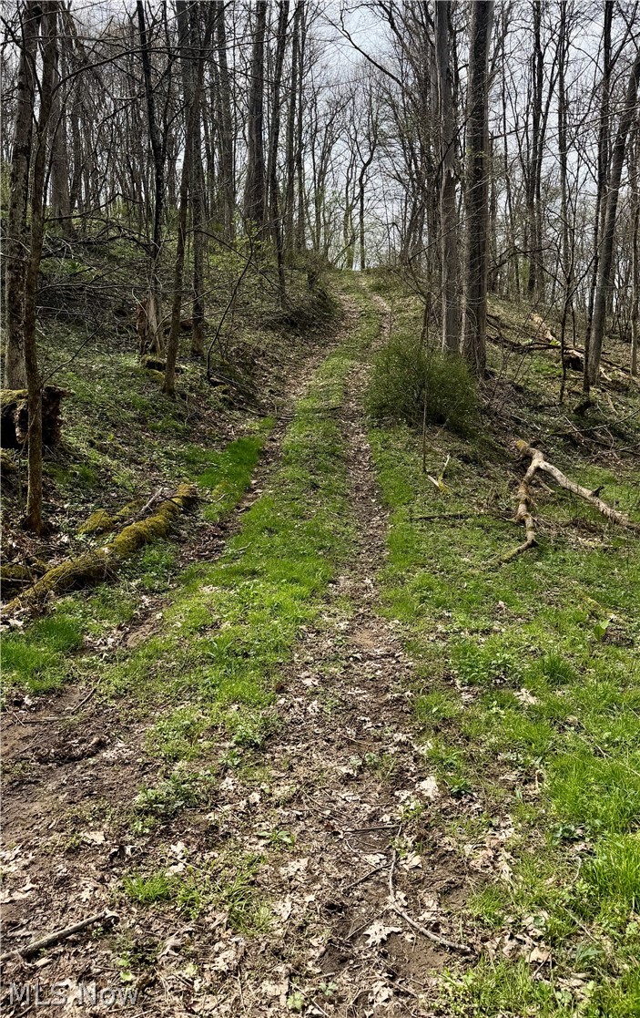 9100 Post Road Jewett OH 43945