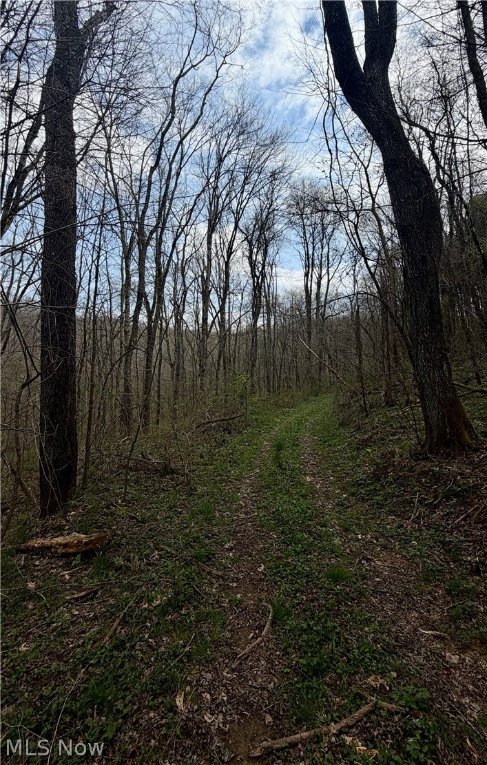 9100 Post Road Jewett OH 43945