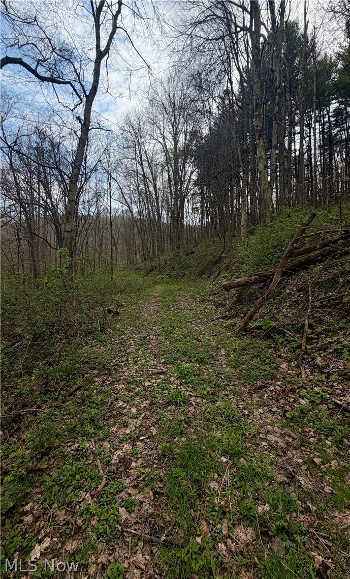 9100 Post Road Jewett OH 43945