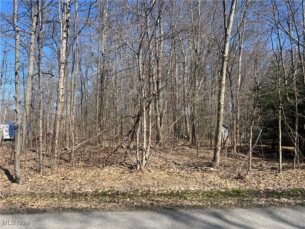 2114 N Park Lane Roaming Shores OH 44084