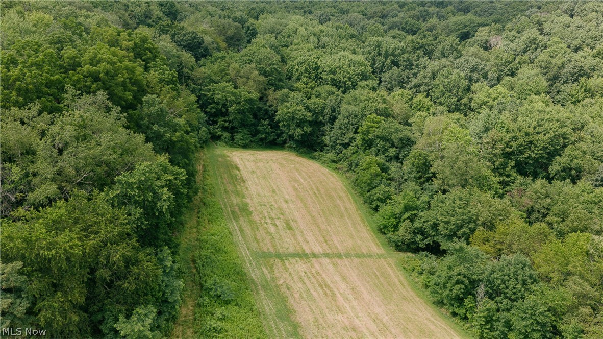 3151 Buttercup Road NE Carrollton OH 44615