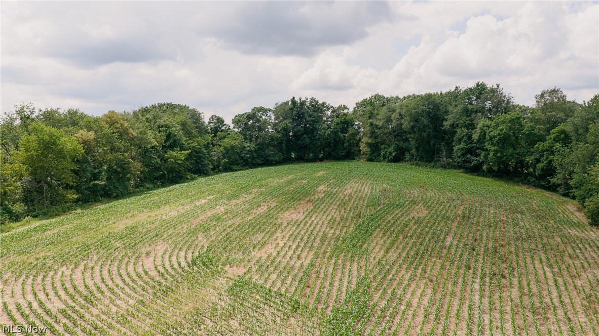 3151 Buttercup Road NE Carrollton OH 44615