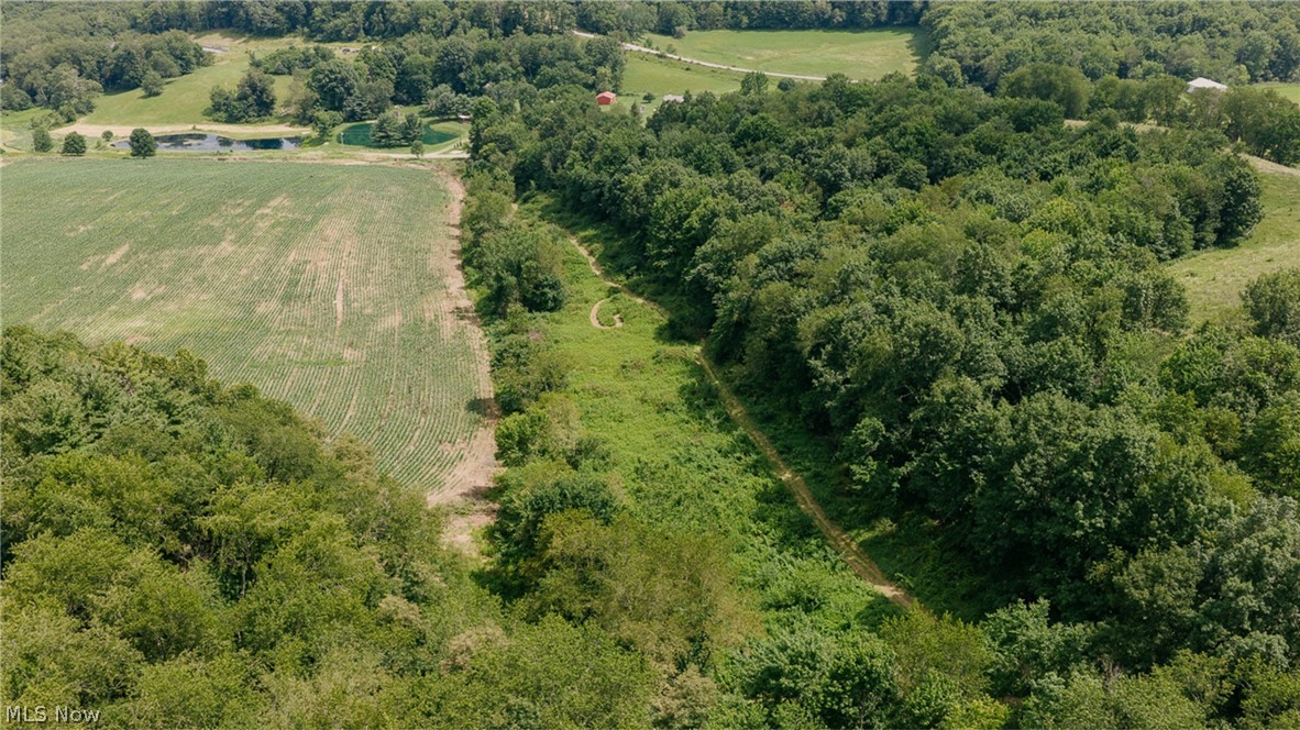 3151 Buttercup Road NE Carrollton OH 44615