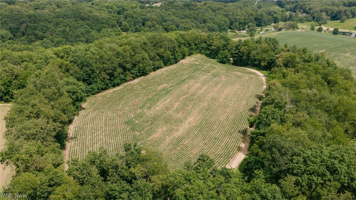 3151 Buttercup Road NE Carrollton OH 44615