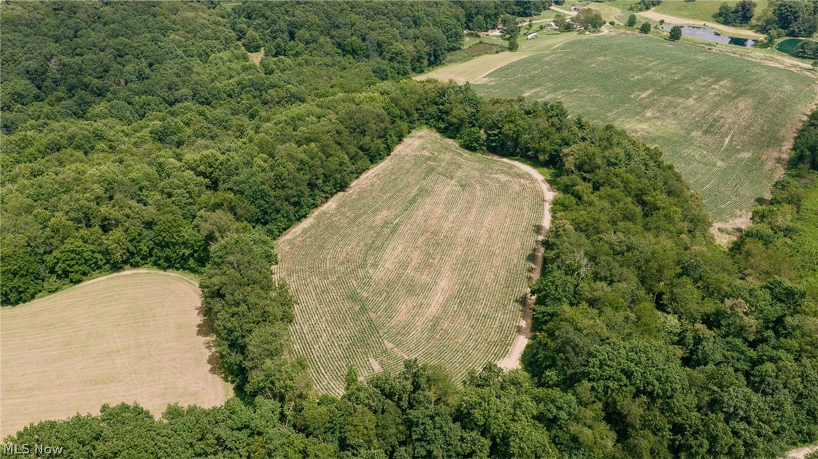 3151 Buttercup Road NE Carrollton OH 44615
