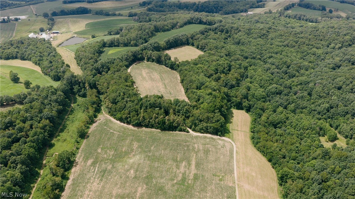 3151 Buttercup Road NE Carrollton OH 44615