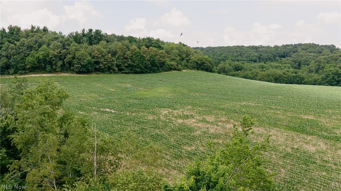3151 Buttercup Road NE Carrollton OH 44615