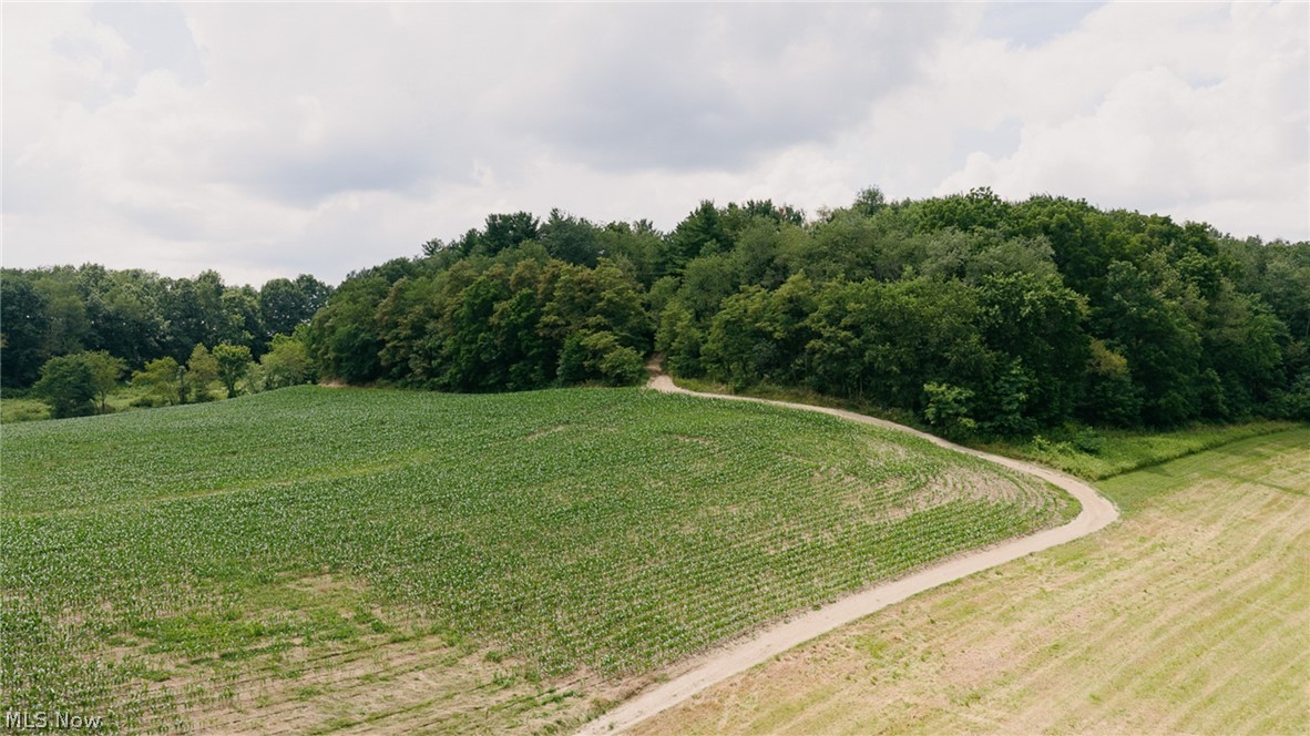 3151 Buttercup Road NE Carrollton OH 44615
