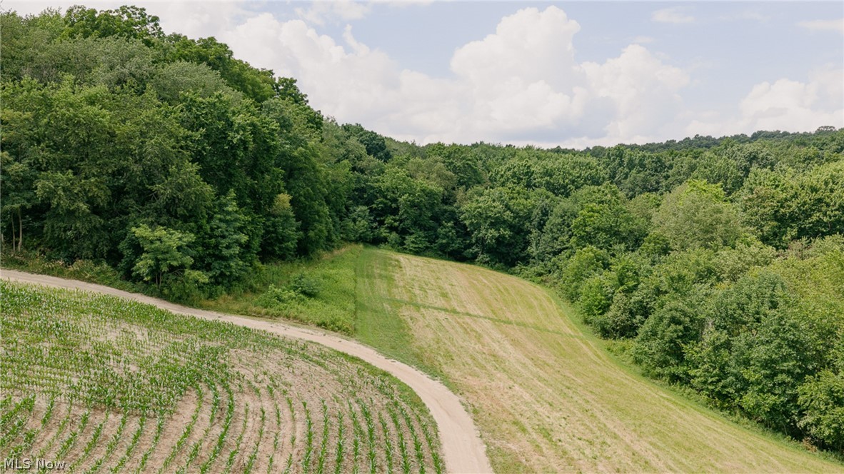 3151 Buttercup Road NE Carrollton OH 44615