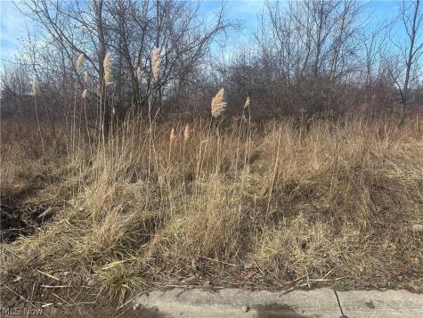 Charles Drive Lorain OH 44053