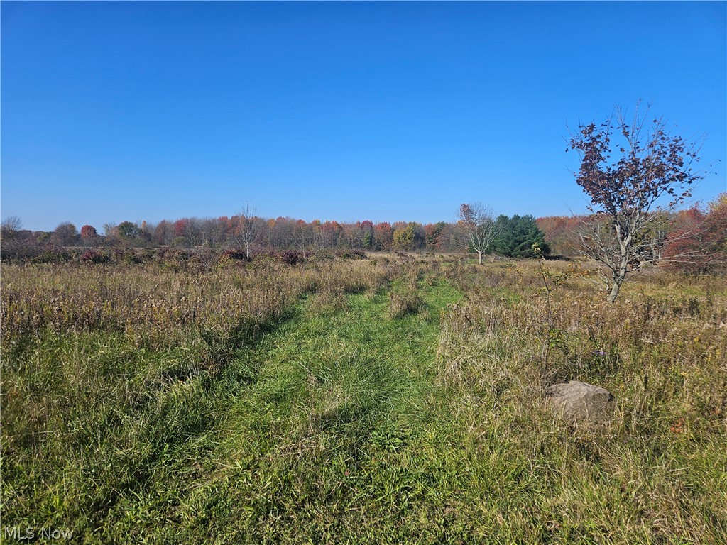 2279 Stumpville Road Jefferson OH 44047