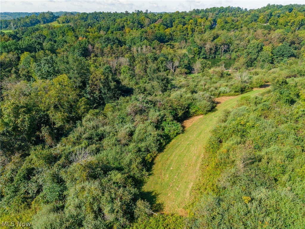 Township Road 269 Cadiz OH 43907