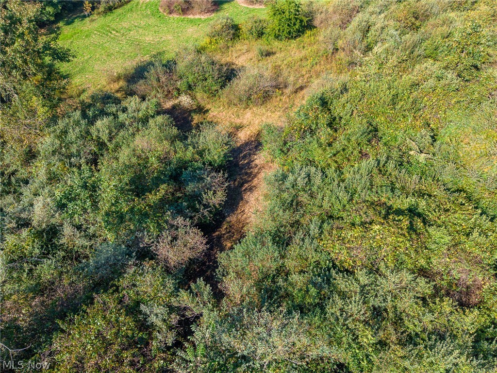 Township Road 269 Cadiz OH 43907