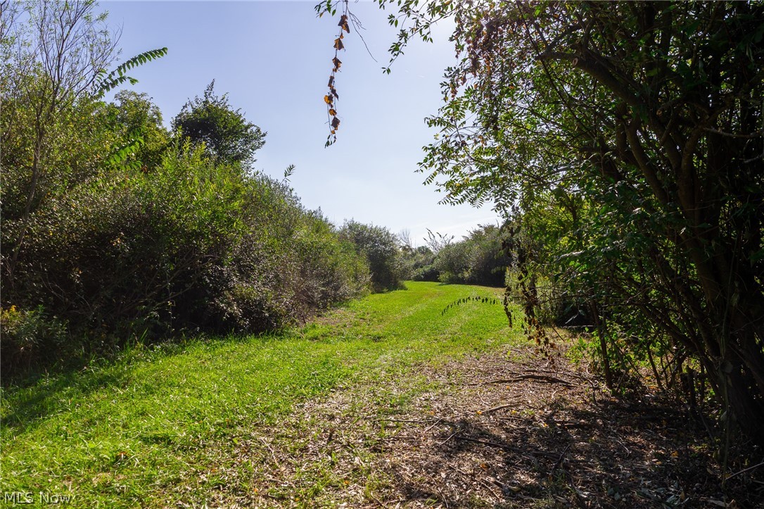 Township Road 269 Cadiz OH 43907