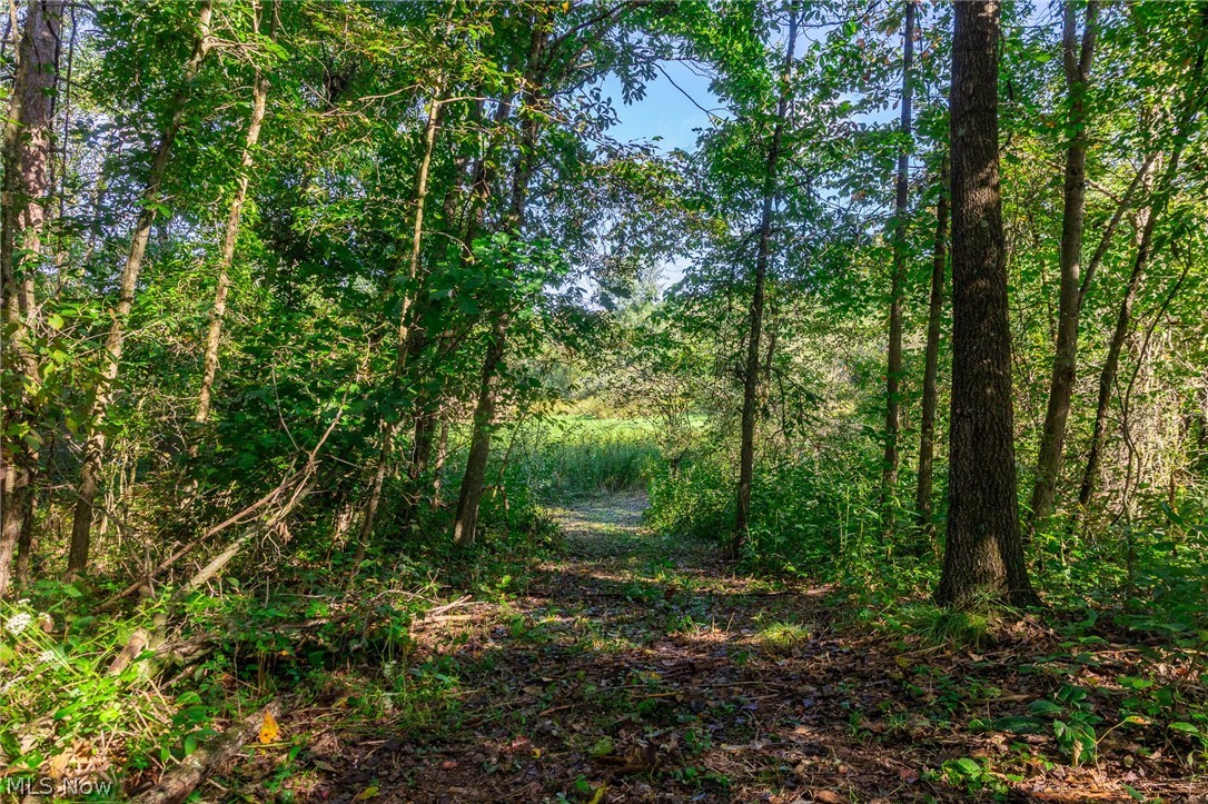 Township Road 269 Cadiz OH 43907
