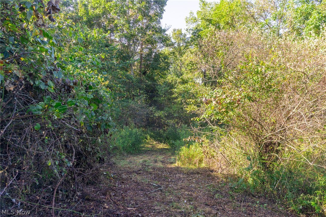 Township Road 269 Cadiz OH 43907