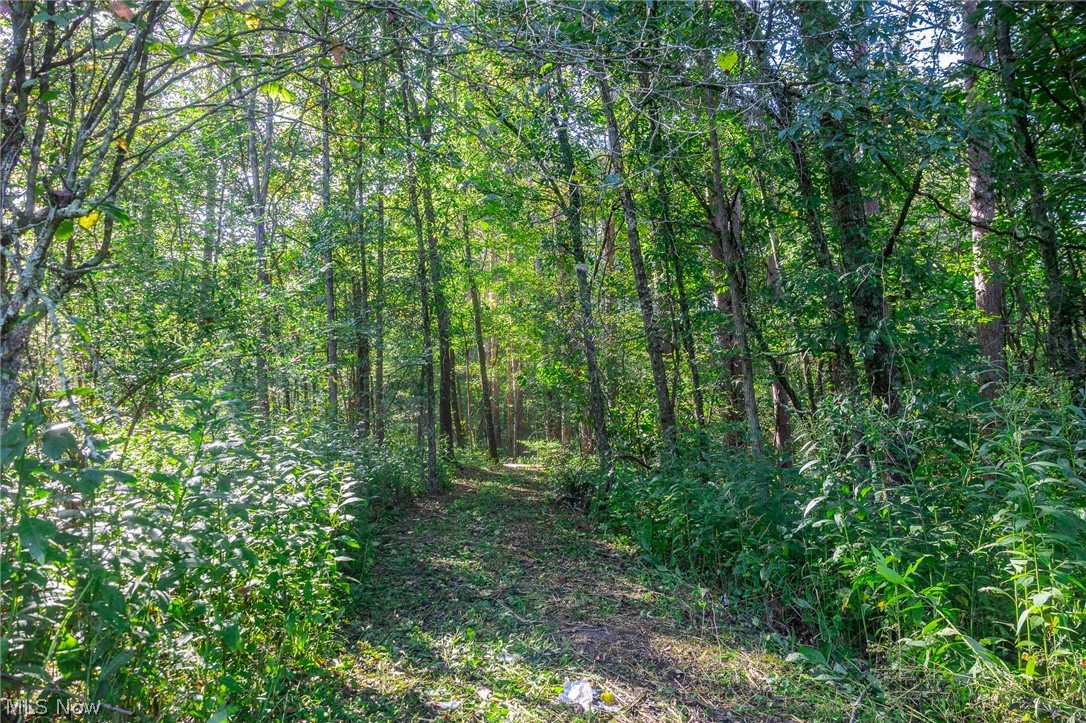 Township Road 269 Cadiz OH 43907