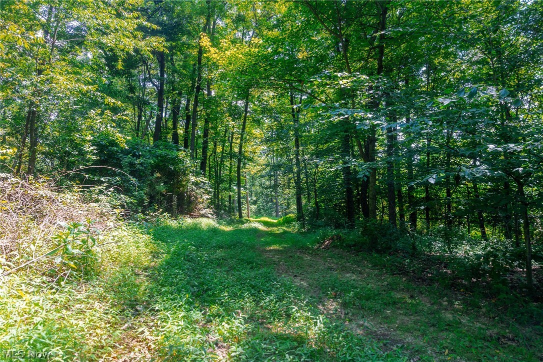 31800 Chestnut Ridge Road Danville OH 43050