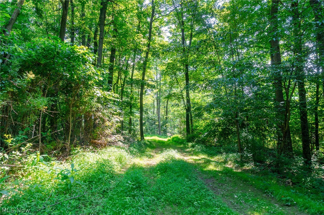 31800 Chestnut Ridge Road Danville OH 43050