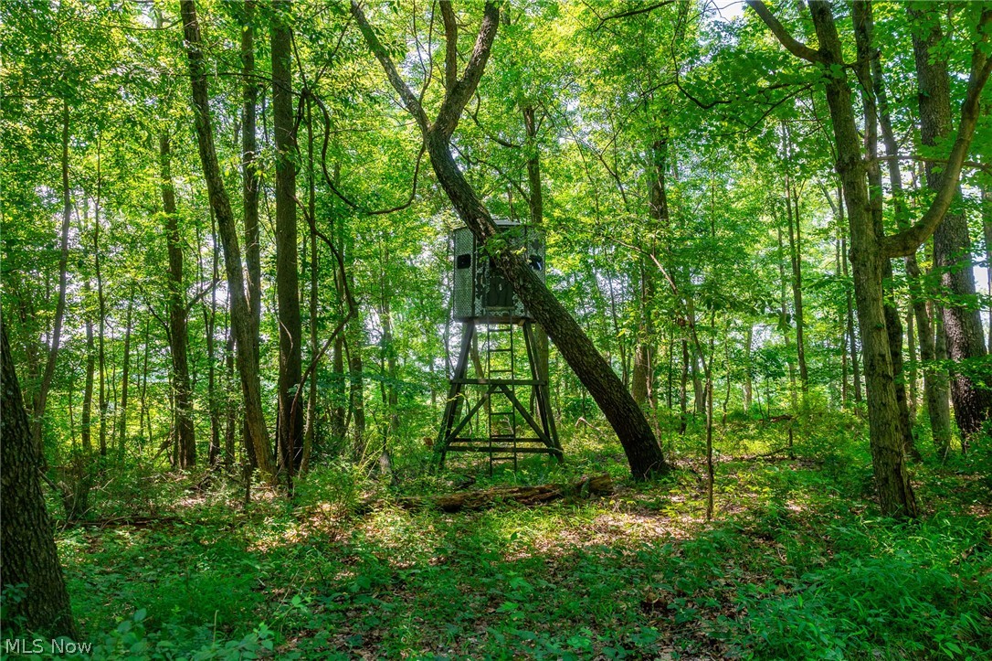 31800 Chestnut Ridge Road Danville OH 43050