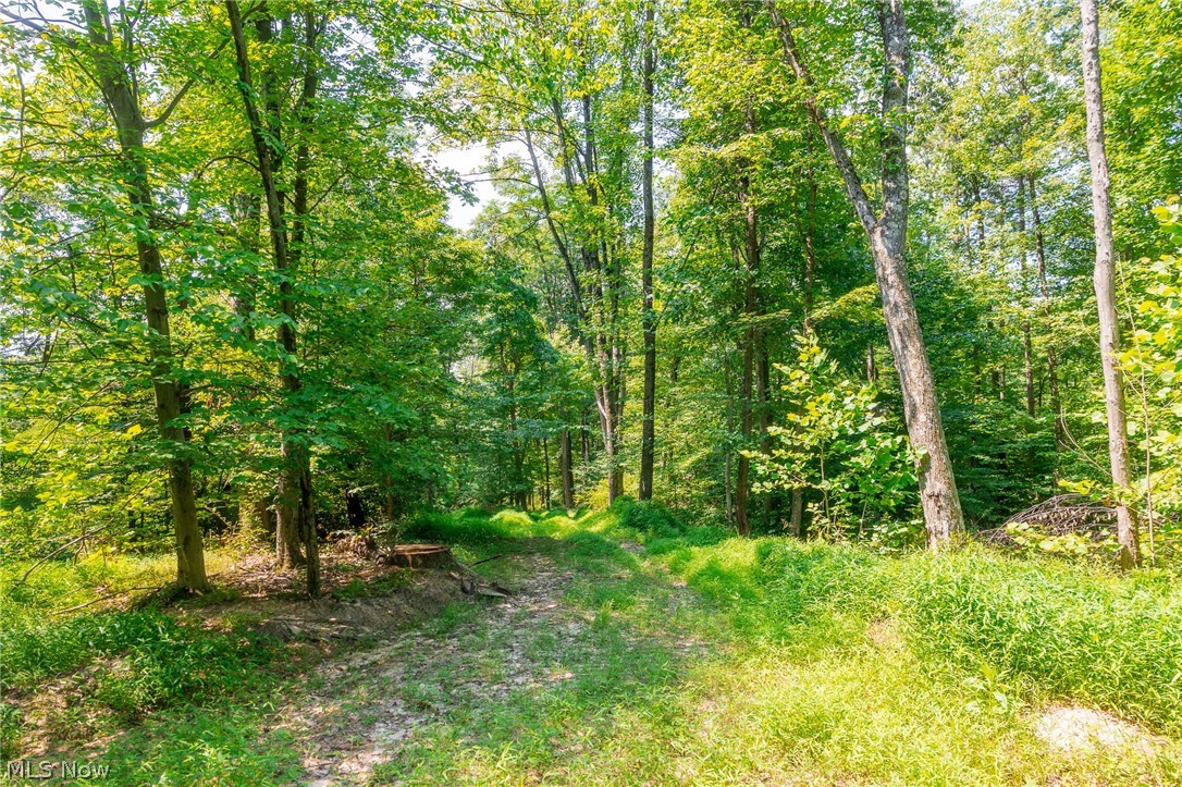 31800 Chestnut Ridge Road Danville OH 43050