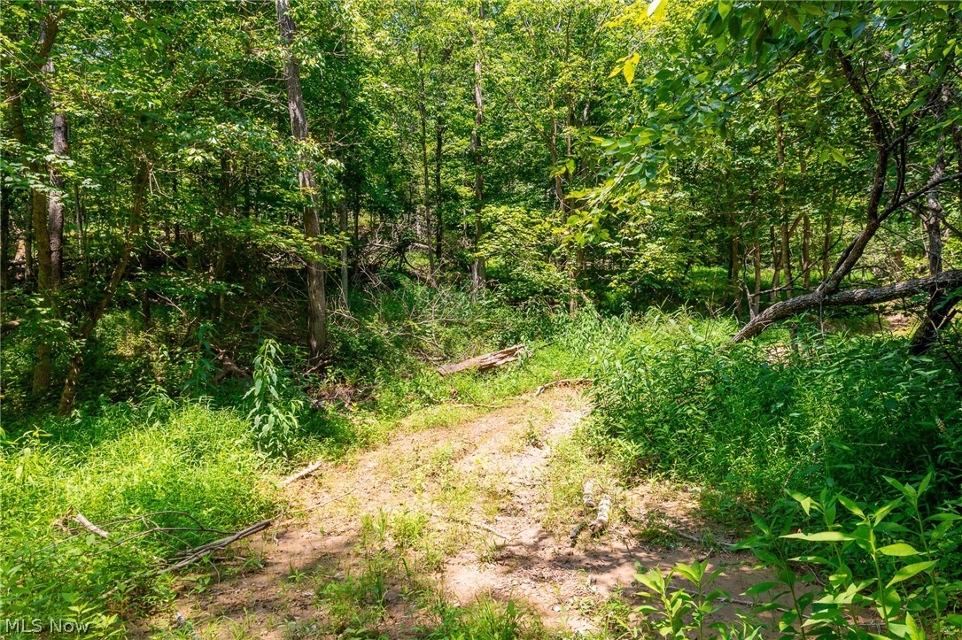 31800 Chestnut Ridge Road Danville OH 43050