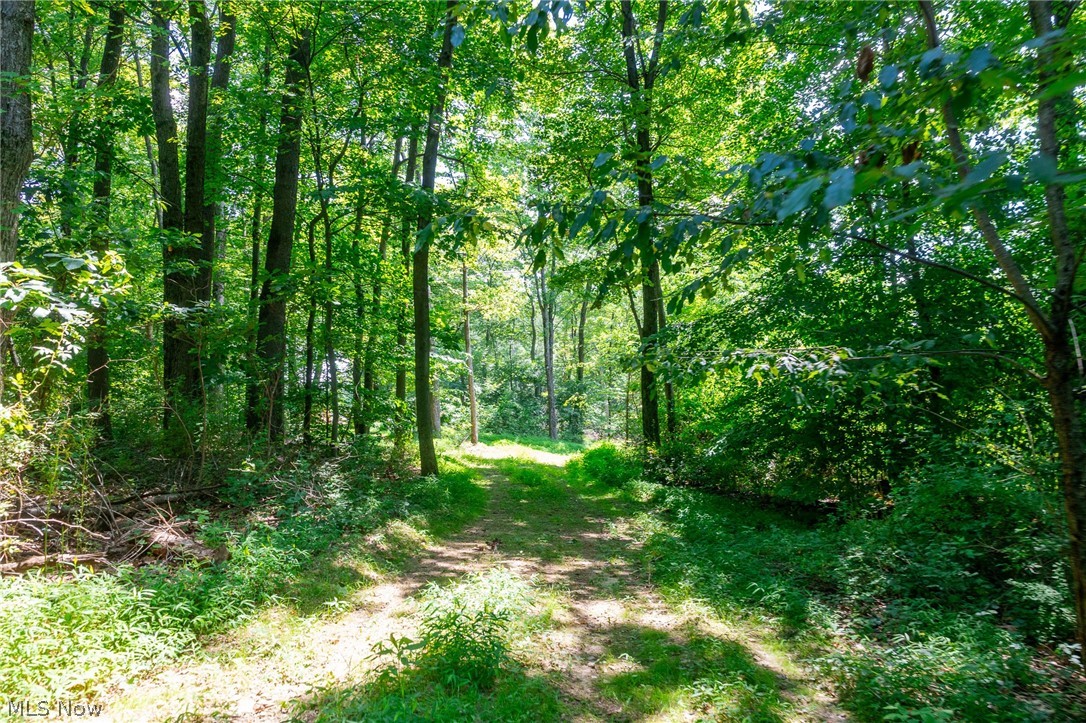 31800 Chestnut Ridge Road Danville OH 43050